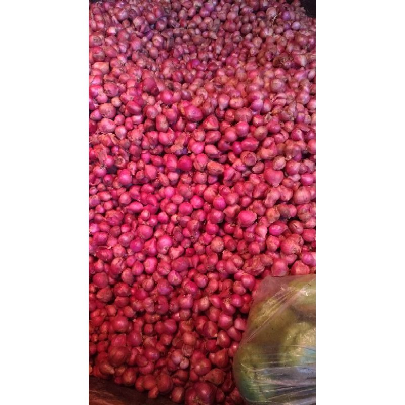 

Bawang Merah Probolinggo