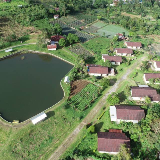 viayulia