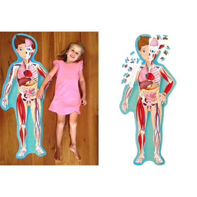 Sassi Science The Human Body Puzzle Travel Learn & Explore Import Book
