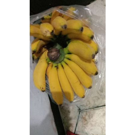 

Pisang raja