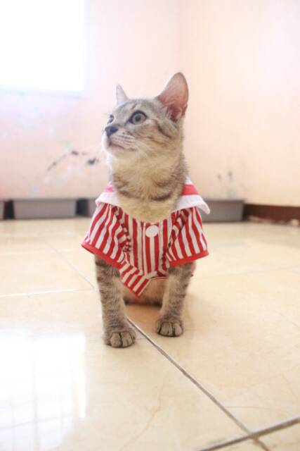 Kemeja ala sailor list merah lucu untuk kucing dan anjing size S-XL