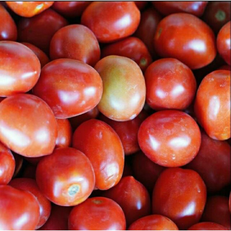 

tomat berat 500gram sayuran segar 9000