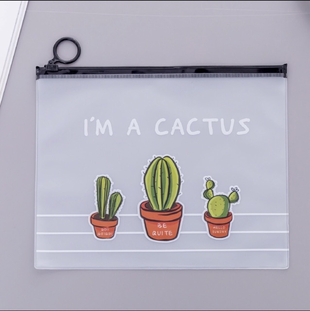 TEMPAT PENSIL TRANSPARAN KAKTUS / Kantong Transparan / Tempat Alat Tulis Kaktus-2