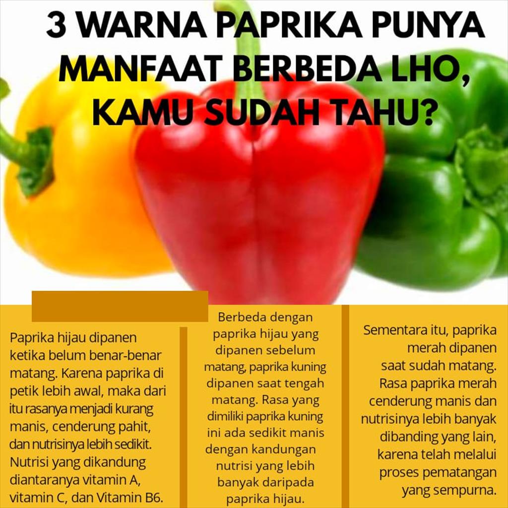 Paprika Bubuk / Capsicum Powder/ Bell Pepper Powder 500GR Import HALAL