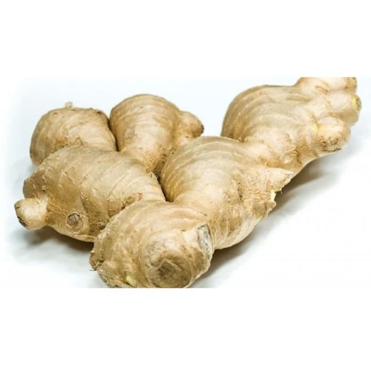 

Jahe Gajah Segar 250 Gram