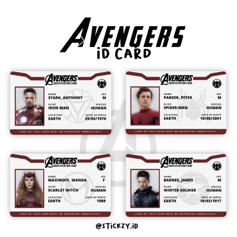 ID CARD AVENGERS EDITION