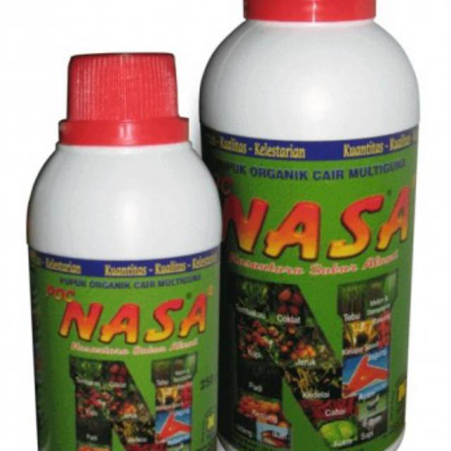 OBAT DAUN CABE MENGUNING DARI NASA