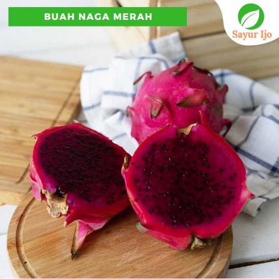 

Buah Naga Merah 900 - 1000 Gram (Isi 2 - 3 Pcs) Fresh Dragon Fruit Segar