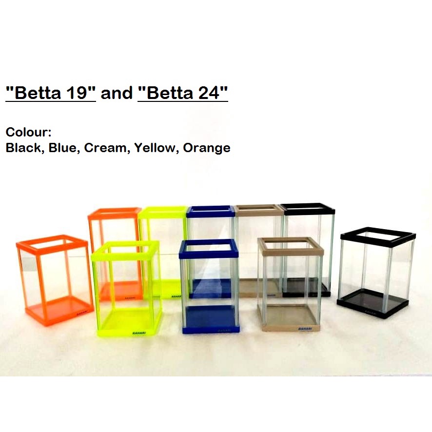 Aquarium Betta 24" | Aquarium Ikan Cupang