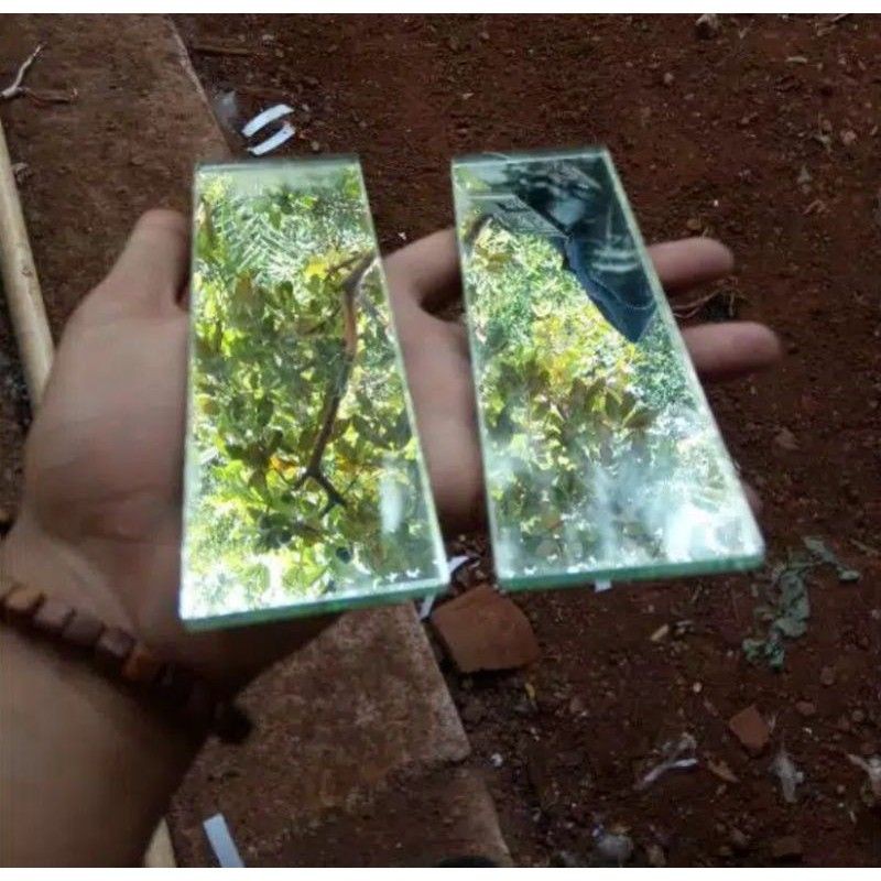 cermin latih cupang ukuran 5x15