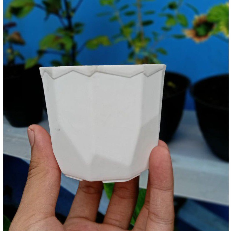 Pot permata putih 8cm pot kecil pot kaktus cantik murah grosir