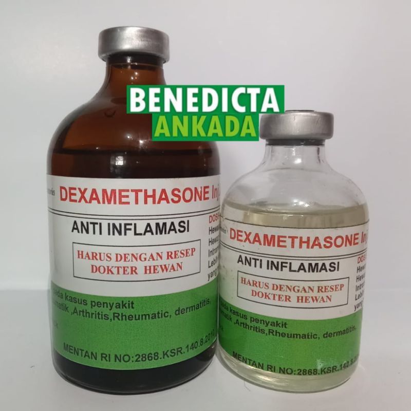 Dexamethasone inj