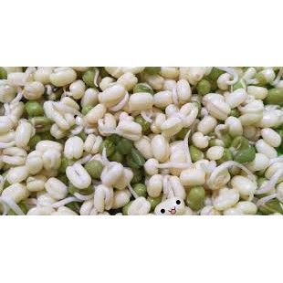 

Kecambah / Toge Pendek 250gr