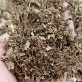 ANDAM/ HUMUS BAMBU ORGANIK