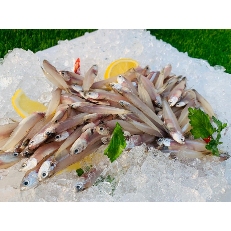 

Ikan Teri Galer Segar 500 gr