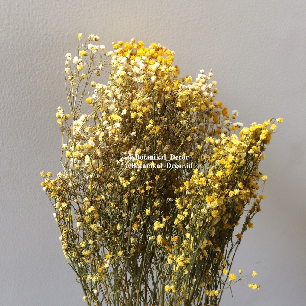 Satin Al Ureticiler Sicak Satan Mini Gypsophila Ortanca Dugun Cicegi Eslestirme Yapay Cicekler Toptan Sahte Cicek Ev Dekorasyon Tl9 76 Dhgate Comda