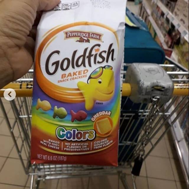 Goldfish