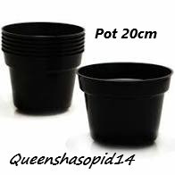Pot Hitam Ukuran 20cm