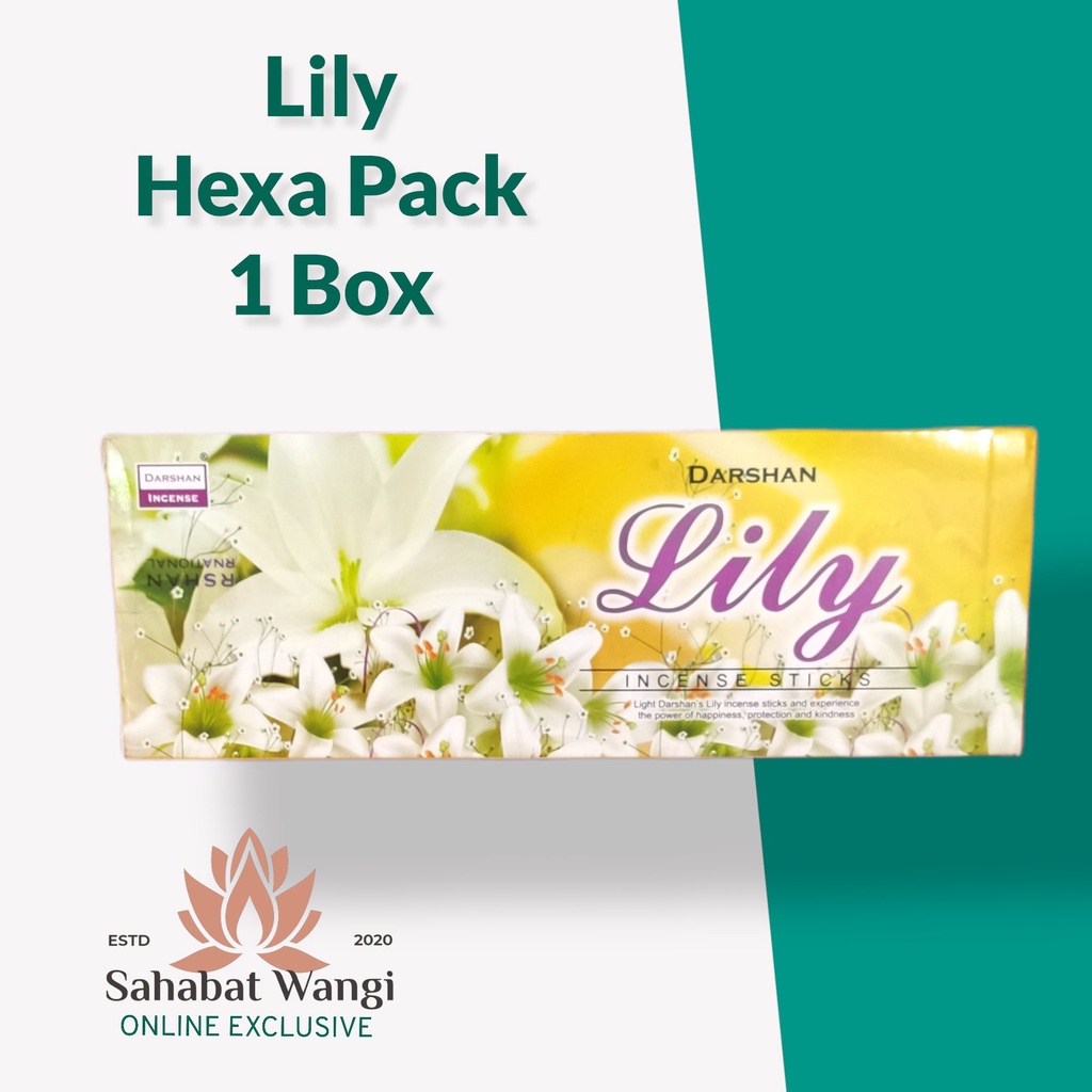 Dupa India Darshan Lily Hexa Short ( 6 Pack)