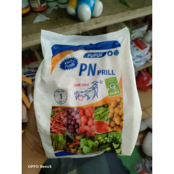 PNprill/kno3 putih 1kg