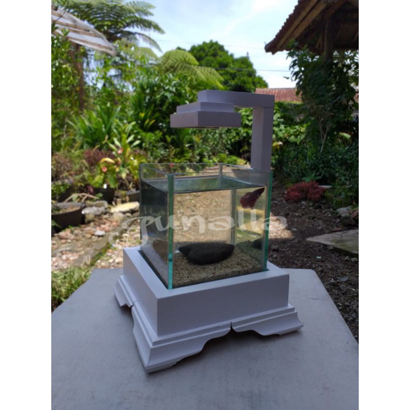 aquarium mini cupang (putih)