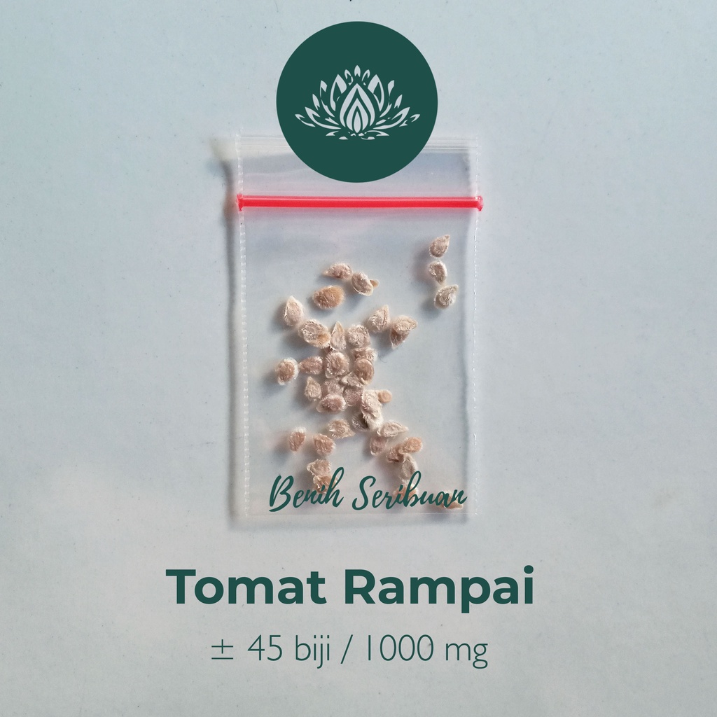 Benih Seribuan - 45 Benih Sayuran Tomat Cherry Rampai Unggul