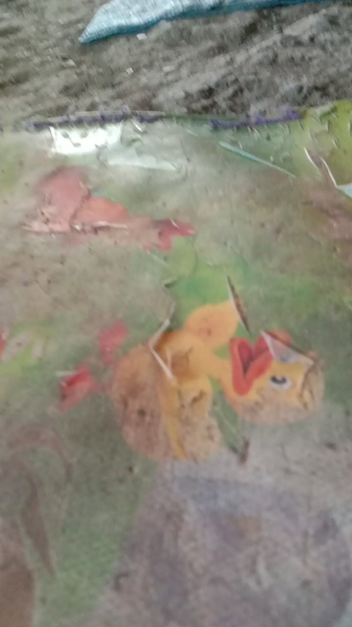 New Kemejapria Lengan Pendek 848vo Kemeja Pilot Pangkat Pdl Teknisi P Ke 4029ys Kemeja Batik Pria G