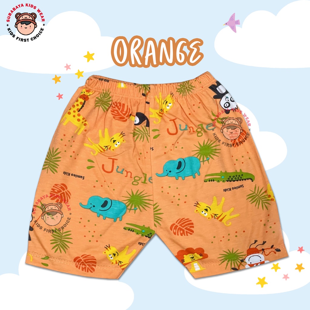 Celana Pendek Anak Laki - Laki Motif Beruang Warna