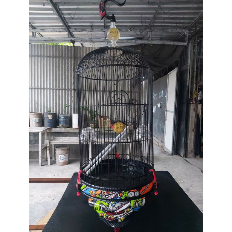 sangkar lovebird BnR domino