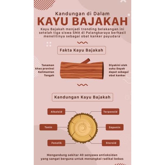 [Paket 3kg] Akar Kayu Bajakah Kalalawit kering siap seduh Obat Tumor dan Kanker (100% ORIGINAL)