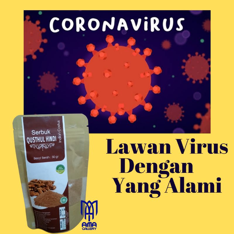 Qusthul Hindi Qusth Al Hindi Kustul Hindi Minuman Herbal Serbuk Anti Virus Memperkuat Otot Jantung