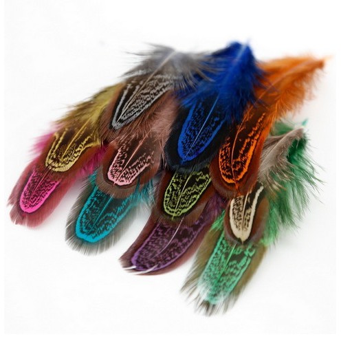 10pcs Bulu Burung Pheasant Alami Multi Warna 5-10cm Untuk Membuat Perhiasan DIY