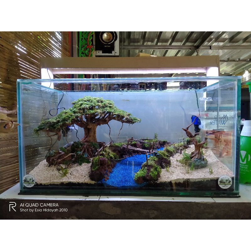 730 Koleksi Jasa Dekorasi Aquarium HD Terbaru