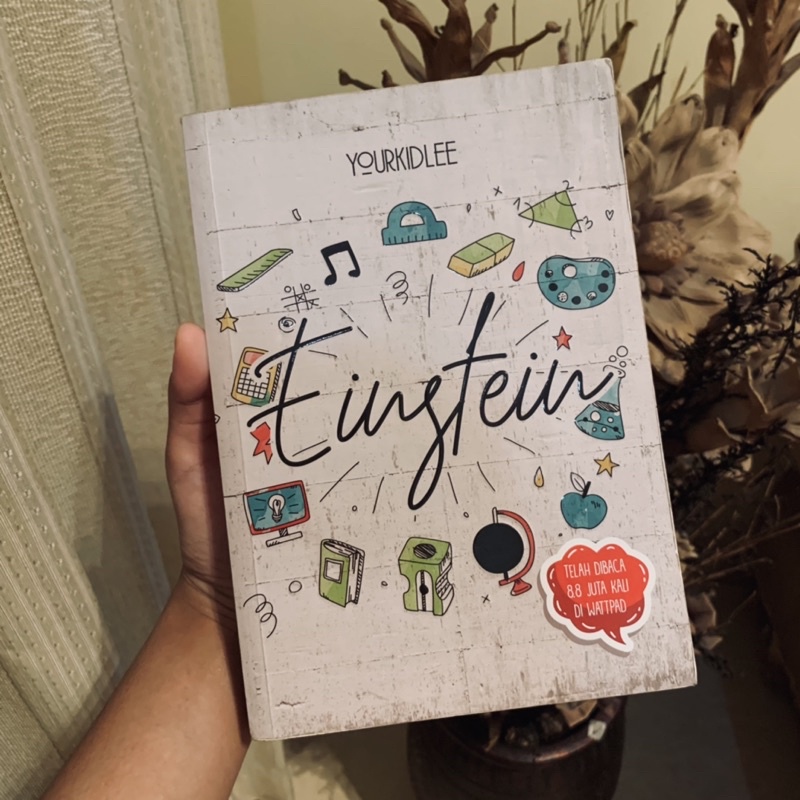[PRELOVED] Novel Einstein - Yourkidlee