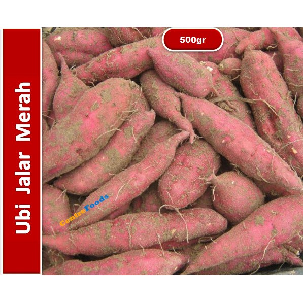 

Ubi Jalar | Merah [ Berat 0,5Kg / 500gr ]