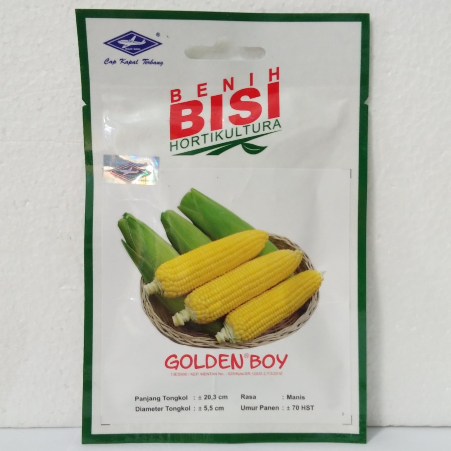 Benih Jagung Manis &quot;Golden Boy&quot; Bisi | Benih Jagung Hibrida Benih Bisi