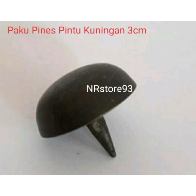 Paku Pines Pintu Kuningan 3cm