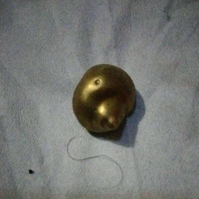 wesi kuning keong emas