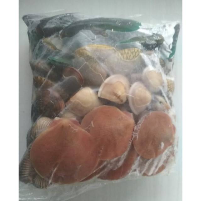

Kerang Mix Frozen 2 Kg