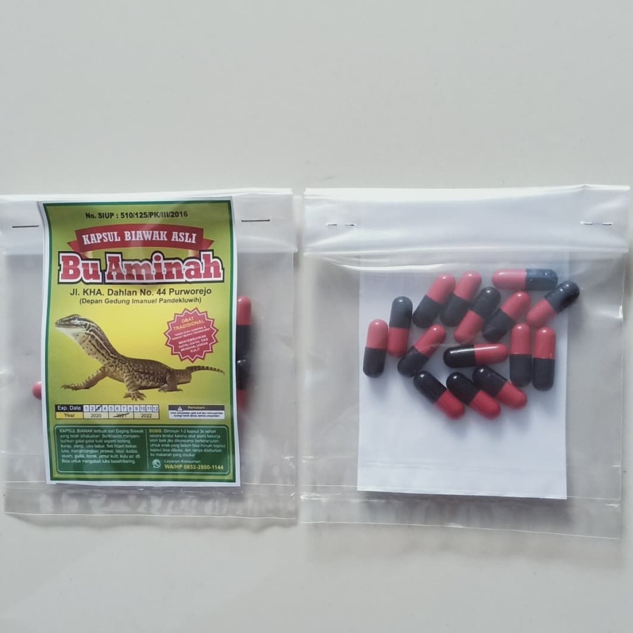 Kapsul Biawak Asli Daging Biawak Obat Gatal Kulit Kadas Kurap Exsim Kutu Air Alergi Mengobati Asma M