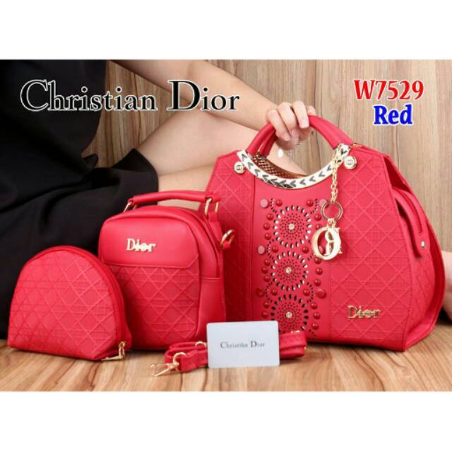 Tas Christian Dior Nightingale