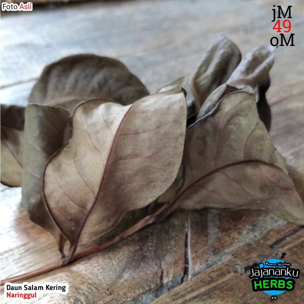 

20gr Daun Salam Kering Bay Leaf Leaves Organik Produk Selalu Terbaru