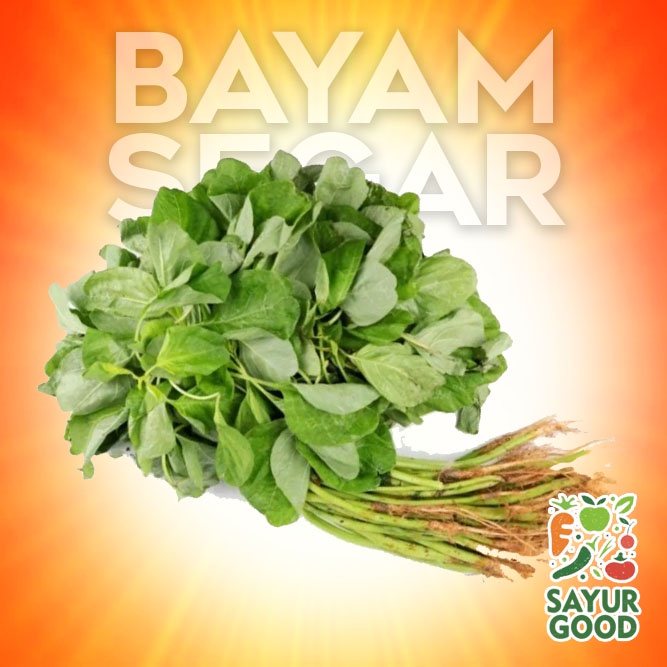 

Bayam Segar 1 Ikat / Bayam / Spinach 1 Ikat Fresh (Sayur Segar)