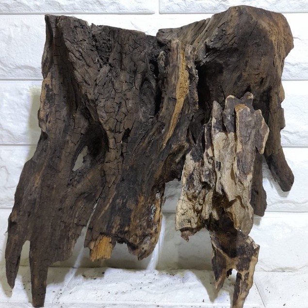 KAYU RENTEK AQUASCAPE SIZE XL KAYU DEKORASI AQUASCAPE