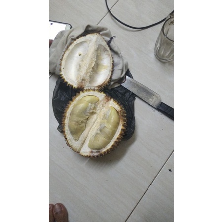 

Durian Pahae