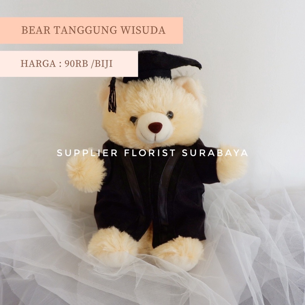 BONEKA BEAR WISUDA HADIAH WISUDA BONEKA WISUDA GRADUATION GIFT BROWN WHITE KADO WISUDA