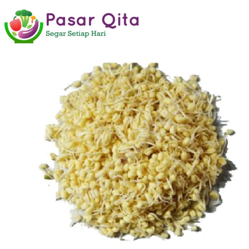 

Tauge | Toge Rawon - Per 500 Gram ( Pasar Qita )