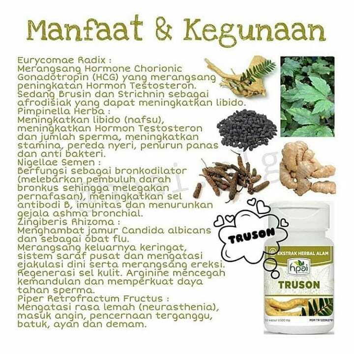 Truson Hni Hpai Obat Herbal Promil Dan Kesehatan Vitalitas Stamina Pria Original Kuat Ampuh-2