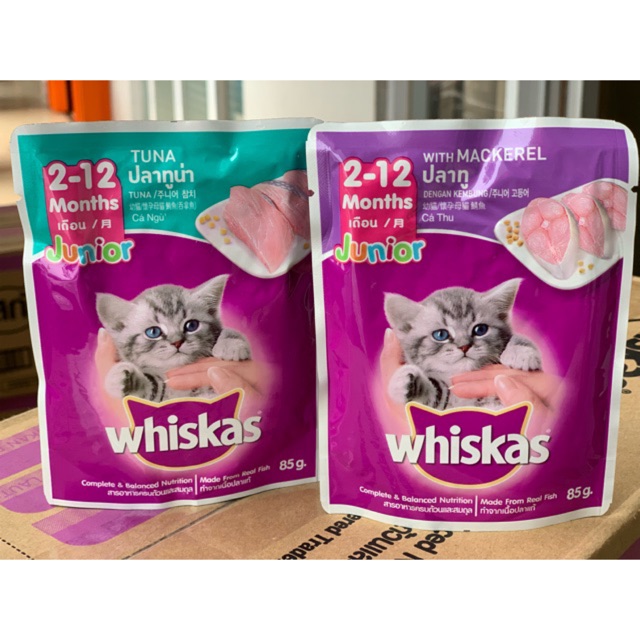 Whiskas Junior Makanan Anak Kucing Usia 2 12 Bulan Shopee Indonesia