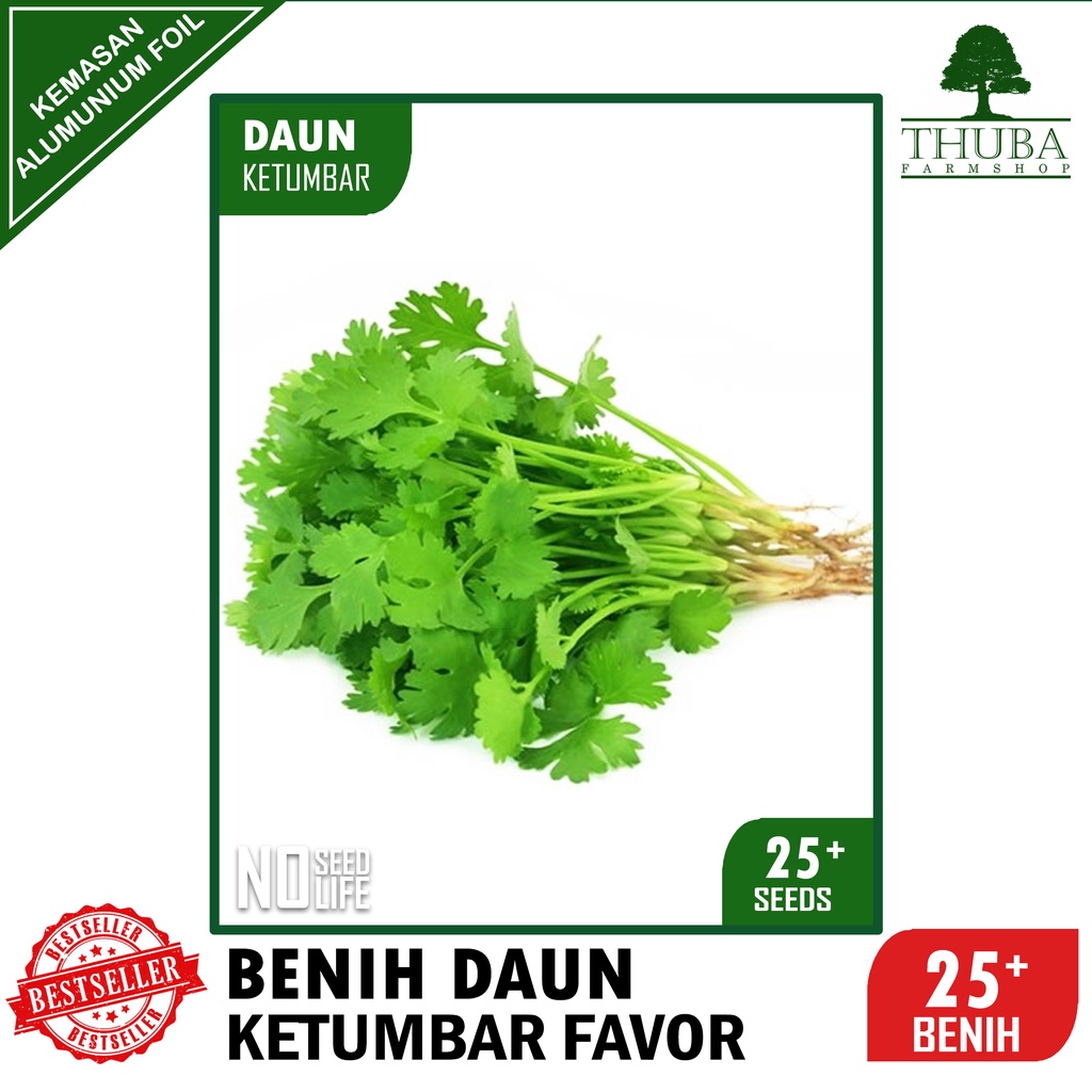 25 Biji - Benih Daun Ketumbar FAVOR - Bibit Daun Ketumbar Berkualitas